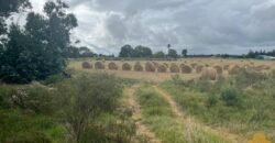 Chacra Ruta 8 Chacra Ruta 8