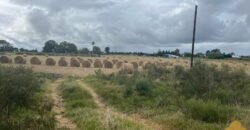 Chacra Ruta 8 Chacra Ruta 8