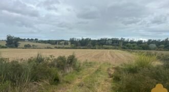 Chacra Ruta 8 Chacra Ruta 8