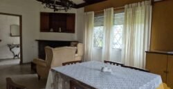 Las Hortensias Las Hortensias