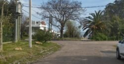 Las Hortensias Las Hortensias