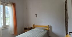 Las Hortensias Las Hortensias