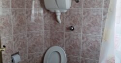 Las Hortensias Las Hortensias