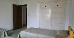 Las Hortensias Las Hortensias