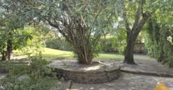 Las Camelias