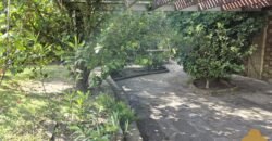 Las Camelias