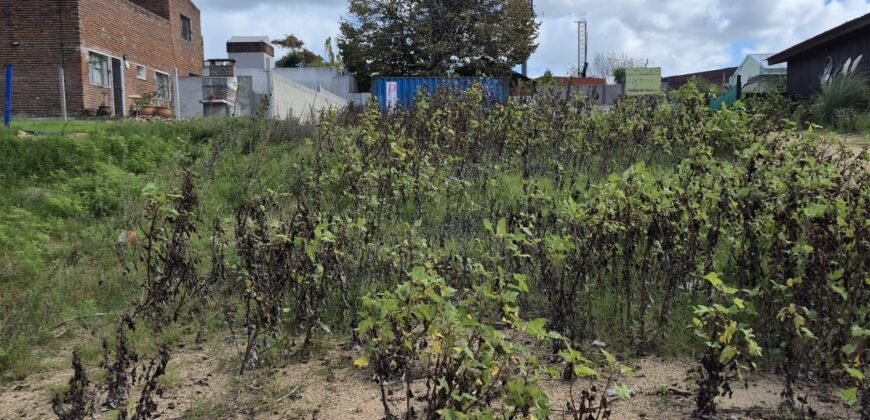 Terreno en Atlántida