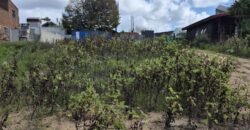 Terreno en Atlántida