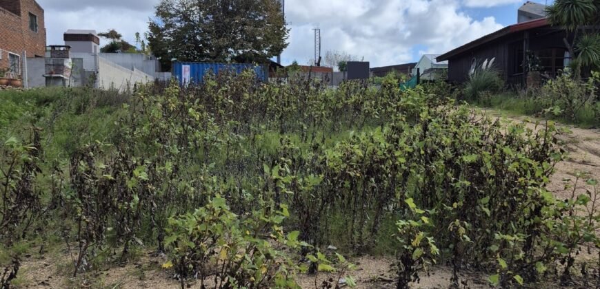 Terreno en Atlántida