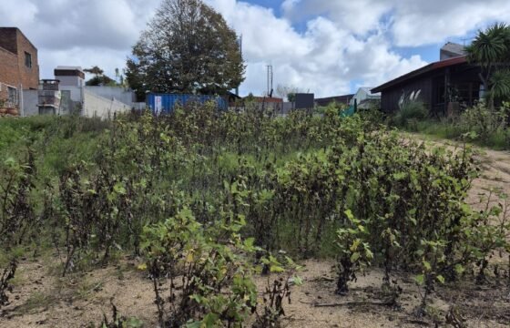Terreno en Atlántida Terreno en Atlántida