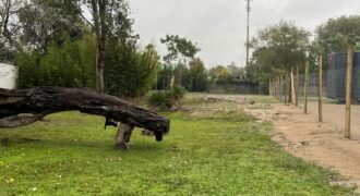 Terreno en Las Toscas Sur