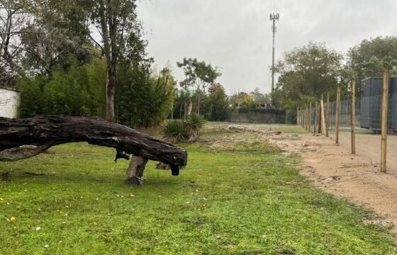 Terreno en Las Toscas Sur Terreno en Las Toscas Sur