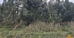 Terreno en Estación Atlántida Terreno en Estación Atlántida