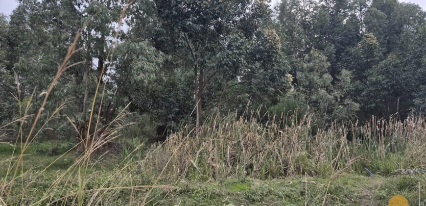 Terreno en Estación Atlántida