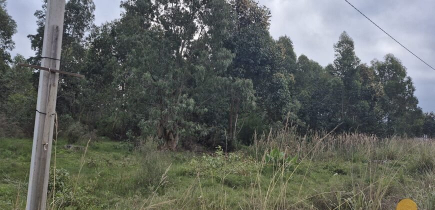 Terreno en Estación Atlántida