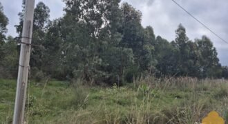 Terreno en Estación Atlántida Terreno en Estación Atlántida