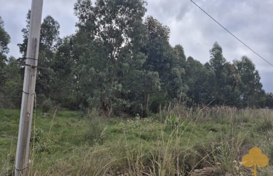 Terreno en Estación Atlántida