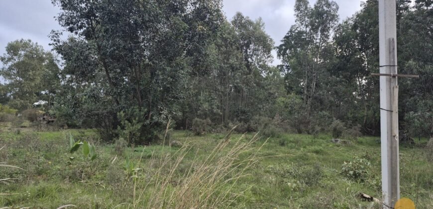 Terreno en Estación Atlántida