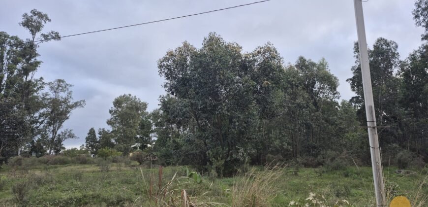 Terreno en Estación Atlántida