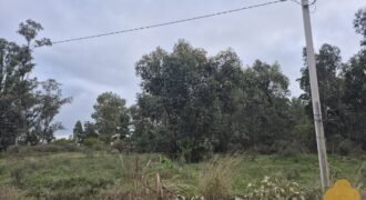 Terreno en Estación Atlántida Terreno en Estación Atlántida