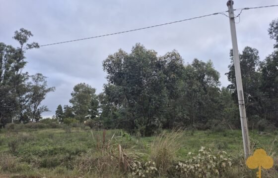 Terreno en Estación Atlántida