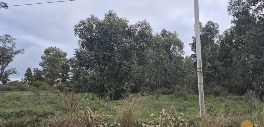 Terreno en Estación Atlántida