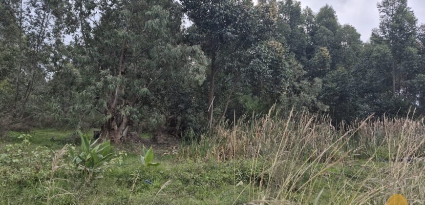 Terreno en Estación Atlántida