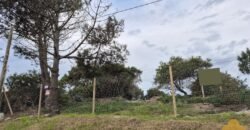Terreno en rambla de Parque del Plata Terreno en rambla de Parque del Plata