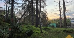 Terreno Parque del Plata