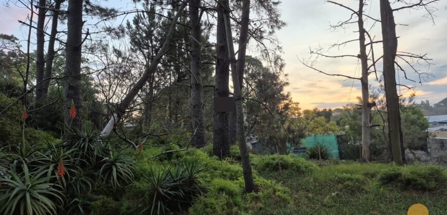 Terreno Parque del Plata