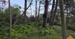 Terreno Parque del Plata