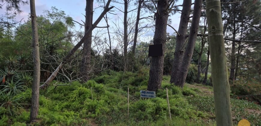Terreno Parque del Plata