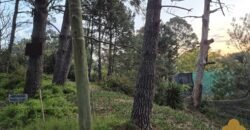 Terreno Parque del Plata