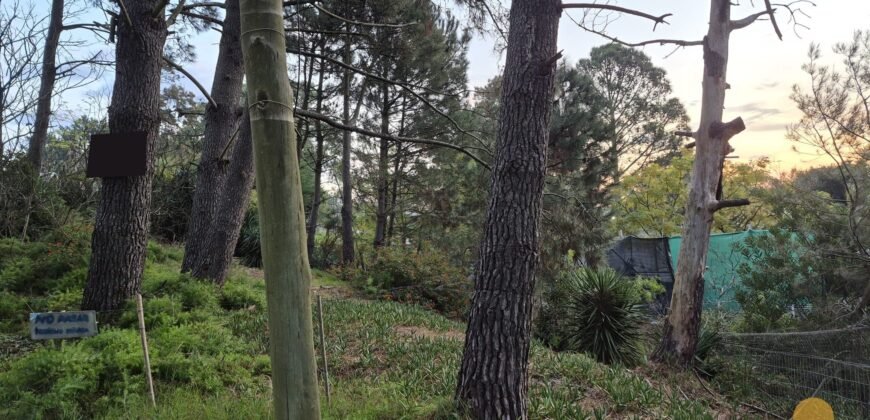 Terreno Parque del Plata