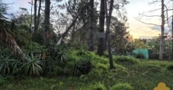 Terreno Parque del Plata