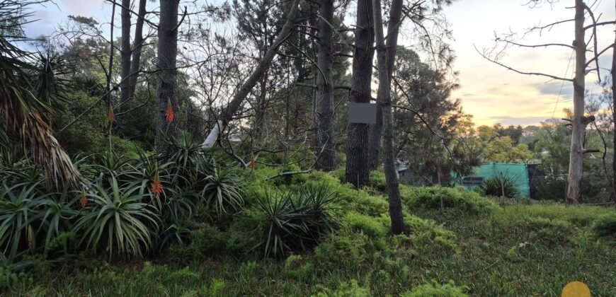 Terreno Parque del Plata