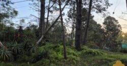 Terreno Parque del Plata