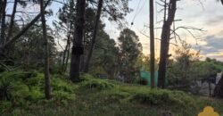 Terreno Parque del Plata