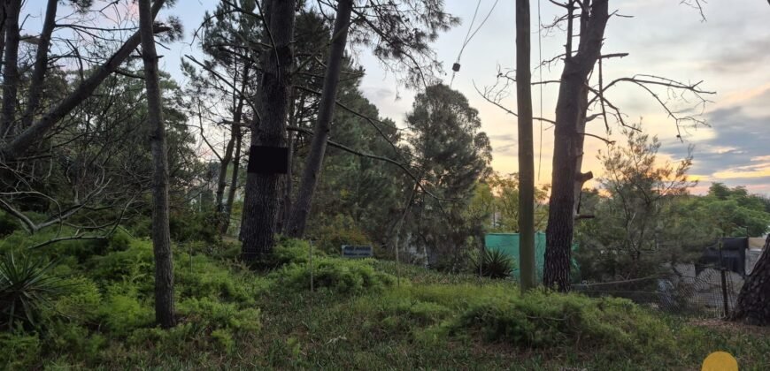 Terreno Parque del Plata