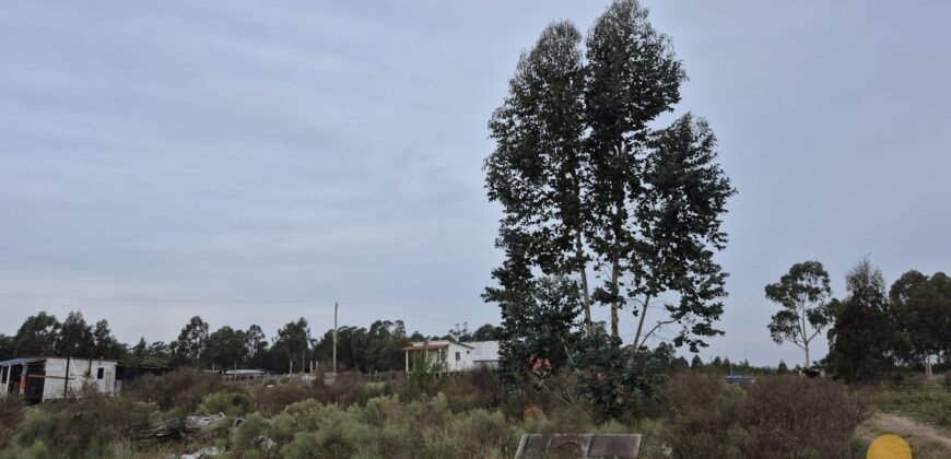 Chacra Camino Sosa Díaz