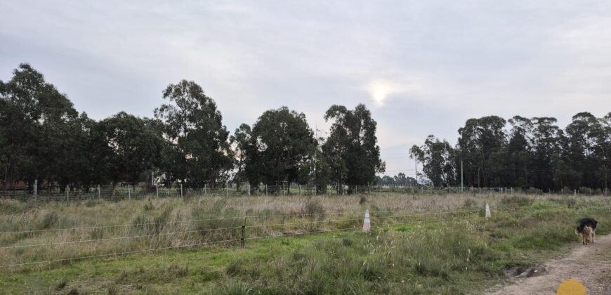 Chacra Camino Sosa Díaz