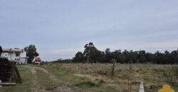 Chacra Camino Sosa Díaz Chacra Camino Sosa Díaz