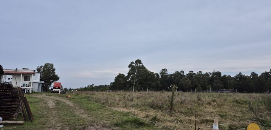 Chacra Camino Sosa Díaz