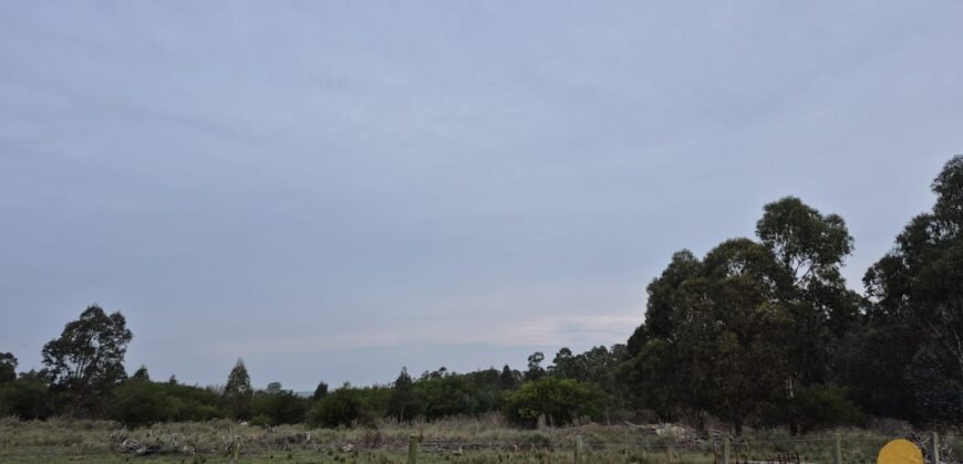 Chacra Camino Sosa Díaz