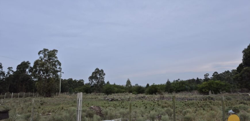 Chacra Camino Sosa Díaz
