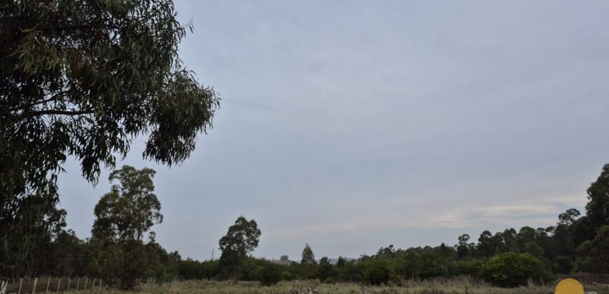 Chacra Camino Sosa Díaz