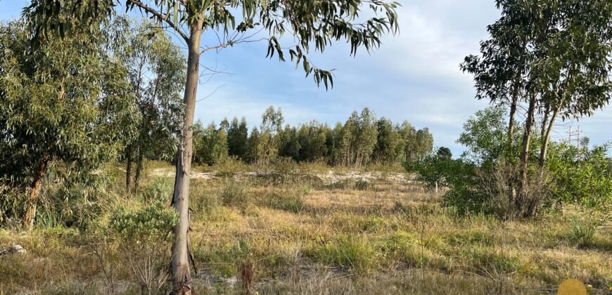 Terreno de 3300 metros en El Fortín