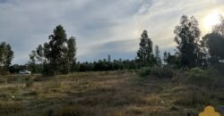 Terreno de 3300 metros en El Fortín Terreno de 3300 metros en El Fortín
