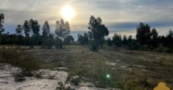 Terreno de 3300 metros en El Fortín Terreno de 3300 metros en El Fortín