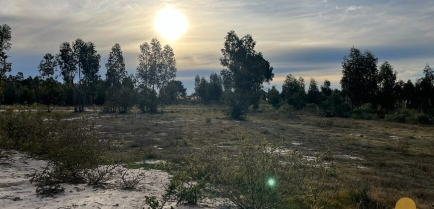 Terreno de 3300 metros en El Fortín